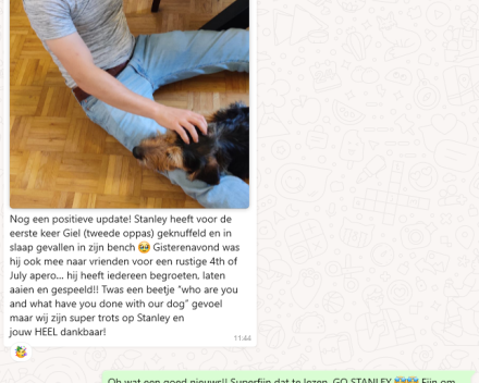 Gedragsbegeleiding