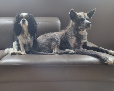 Bruno & Maylo