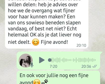 Gedragsbegeleiding