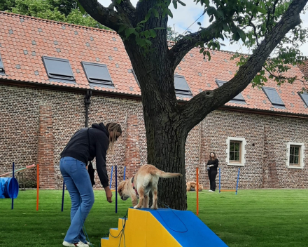 Puppytraining