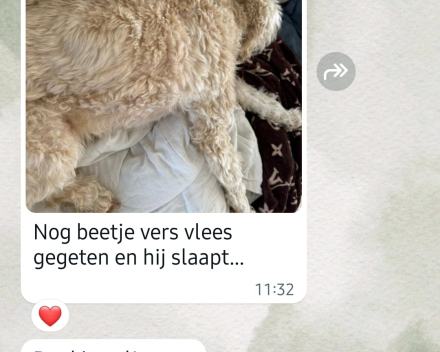 Recensies