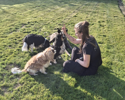 Lola - Charlie - Bruno - Maylo - Jade