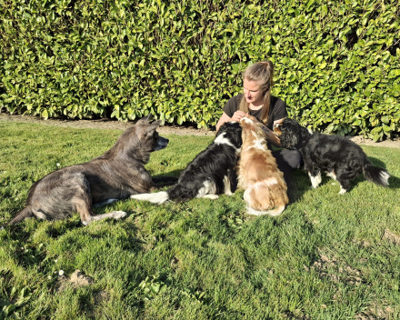 Maylo - Bruno - Lola - Charlie - Jade 