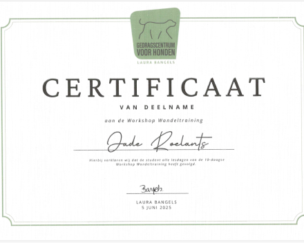 Certificaat wandeltraining