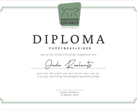 Diploma puppybegeleider